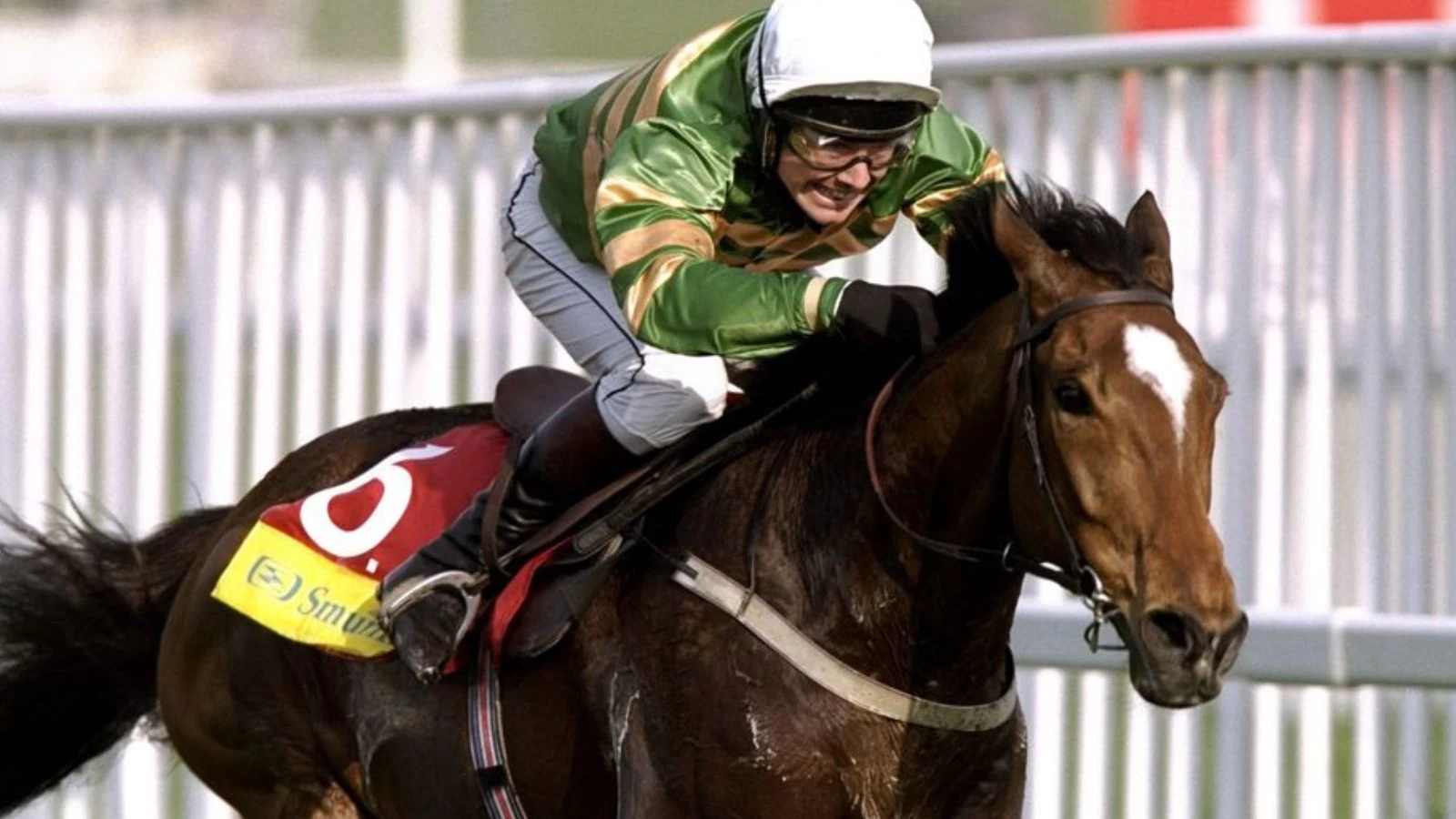 Cheltenham Legend Istabraq Passes Away at 32